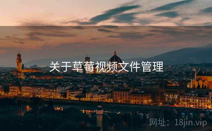关于草莓视频文件管理