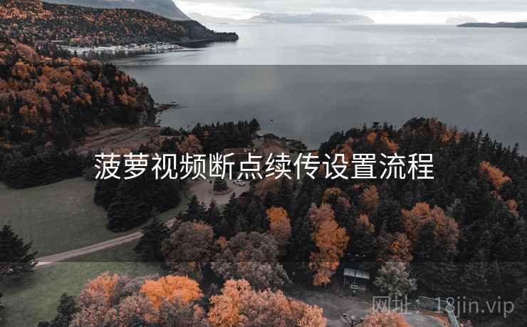 菠萝视频断点续传设置流程