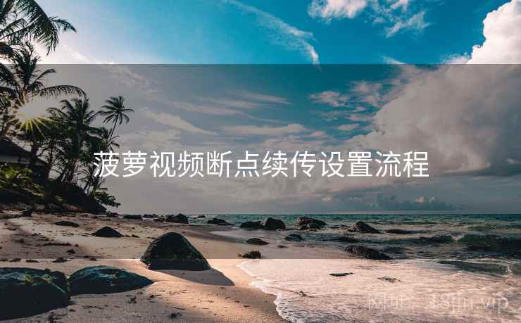 菠萝视频断点续传设置流程