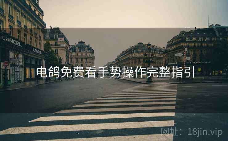 电鸽免费看手势操作完整指引