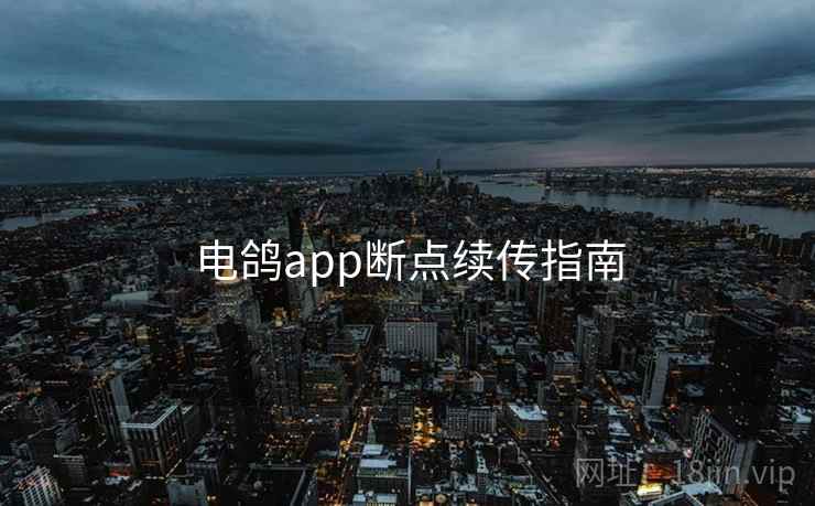 电鸽app断点续传指南