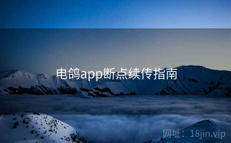 电鸽app断点续传指南