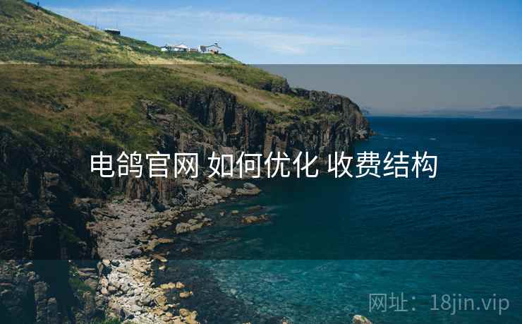 电鸽官网 如何优化 收费结构