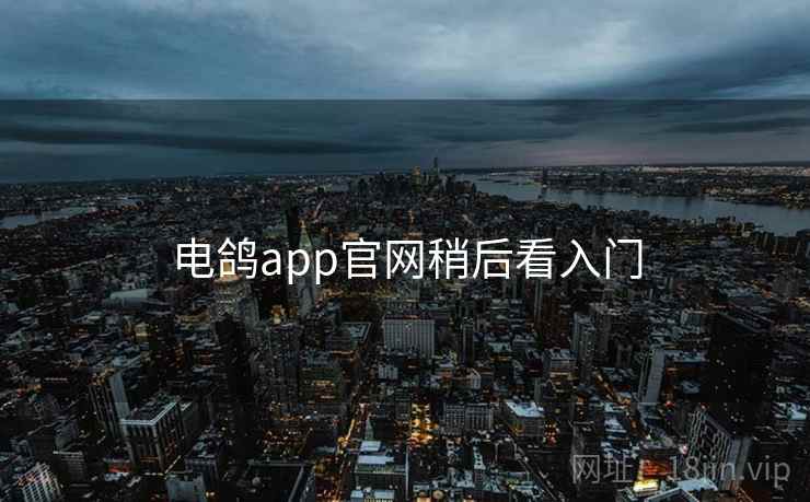 电鸽app官网稍后看入门