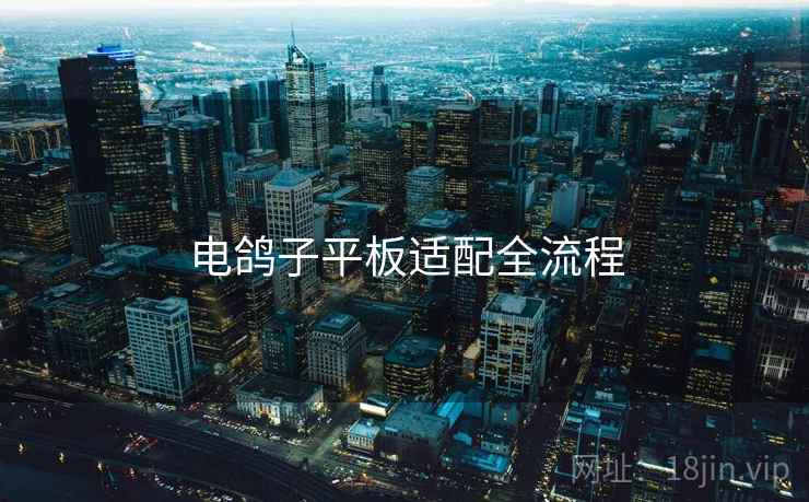 电鸽子平板适配全流程