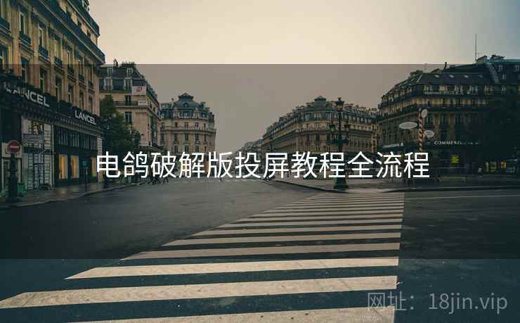 电鸽破解版投屏教程全流程