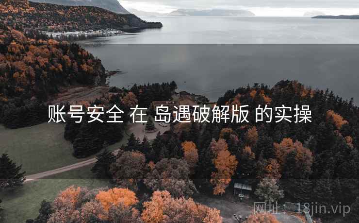 账号安全 在 岛遇破解版 的实操