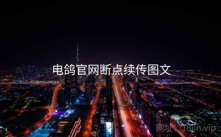 电鸽官网断点续传图文