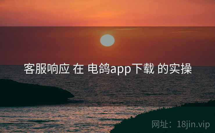 客服响应 在 电鸽app下载 的实操