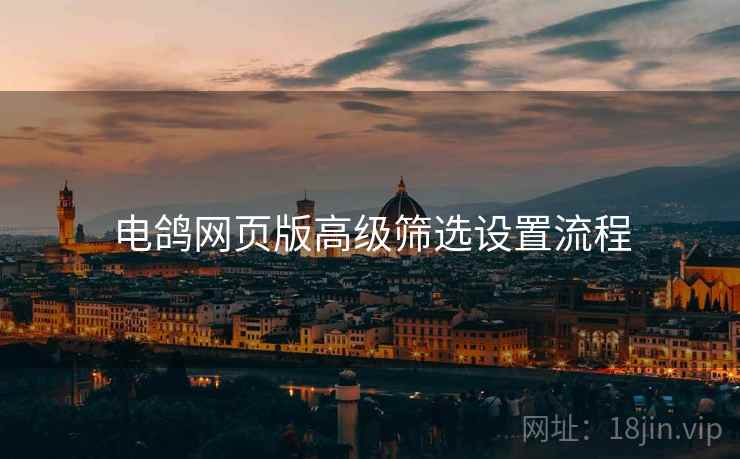 电鸽网页版高级筛选设置流程