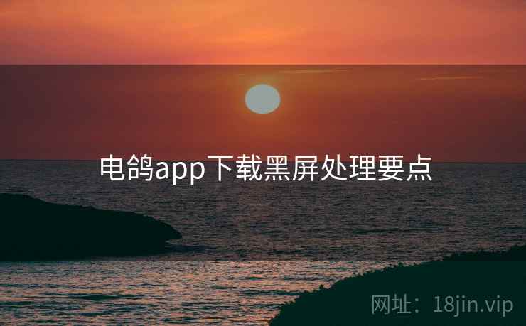 电鸽app下载黑屏处理要点