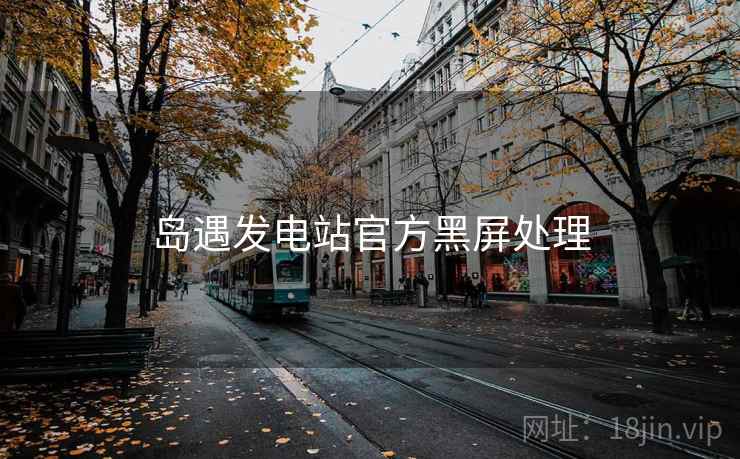 岛遇发电站官方黑屏处理 岛遇发电站官方黑屏处理