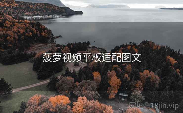 菠萝视频平板适配图文