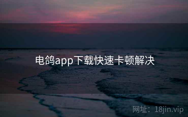 电鸽app下载快速卡顿解决