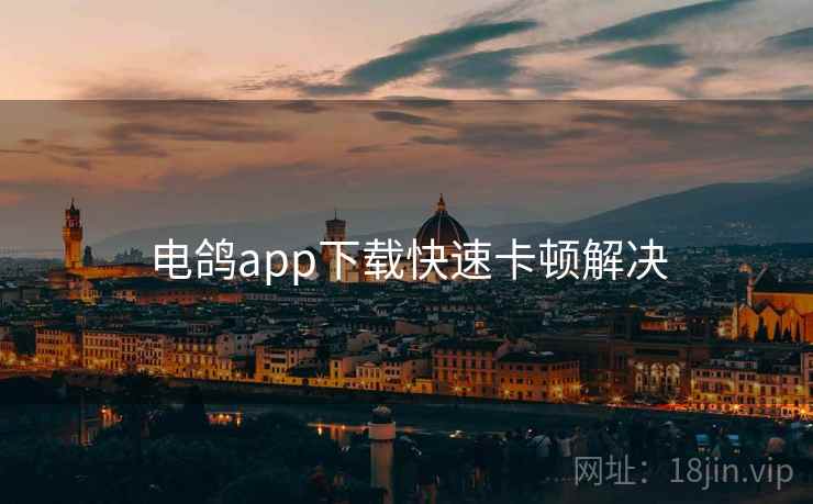 电鸽app下载快速卡顿解决