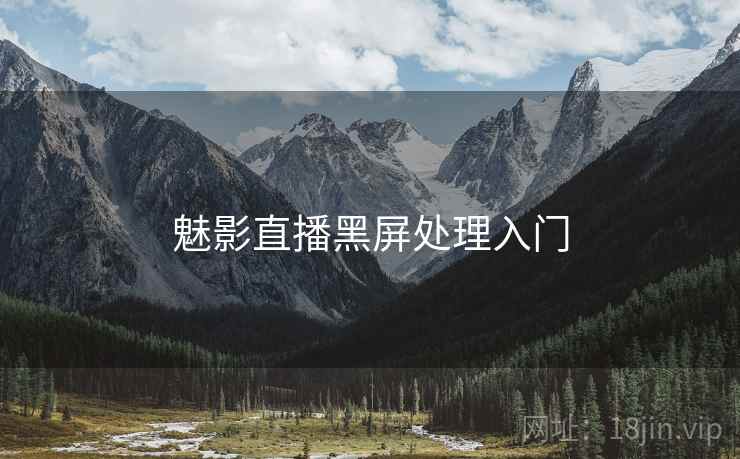 魅影直播黑屏处理入门