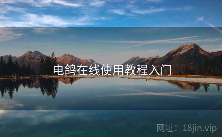 电鸽在线使用教程入门