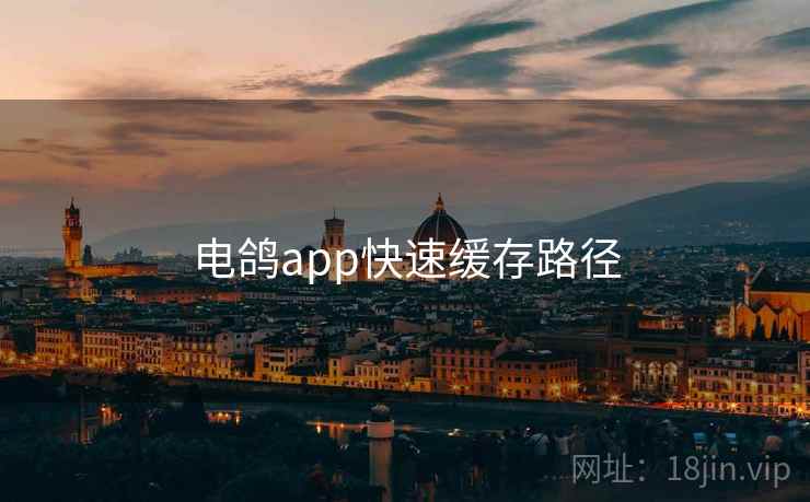 电鸽app快速缓存路径