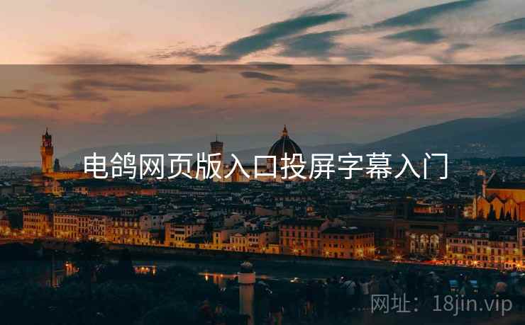 电鸽网页版入口投屏字幕入门