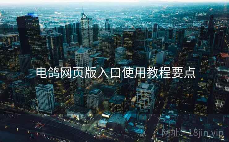 电鸽网页版入口使用教程要点