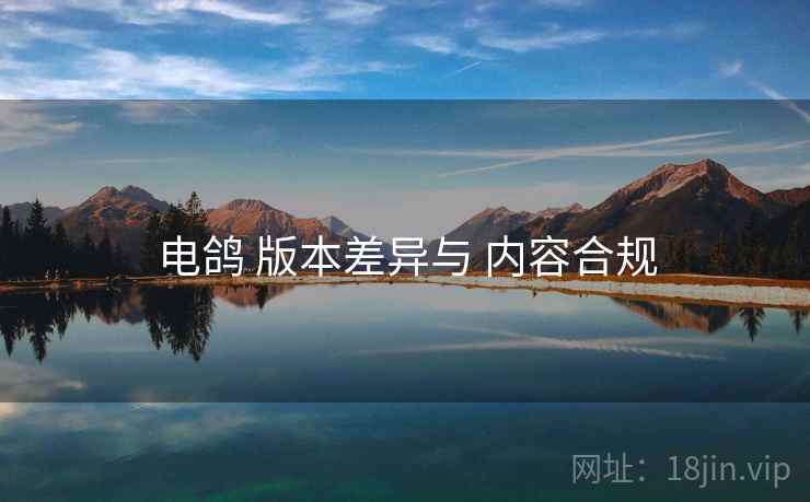 电鸽 版本差异与 内容合规