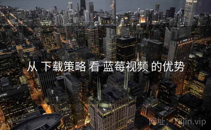 从 下载策略 看 蓝莓视频 的优势