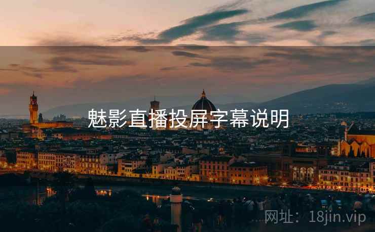 魅影直播投屏字幕说明