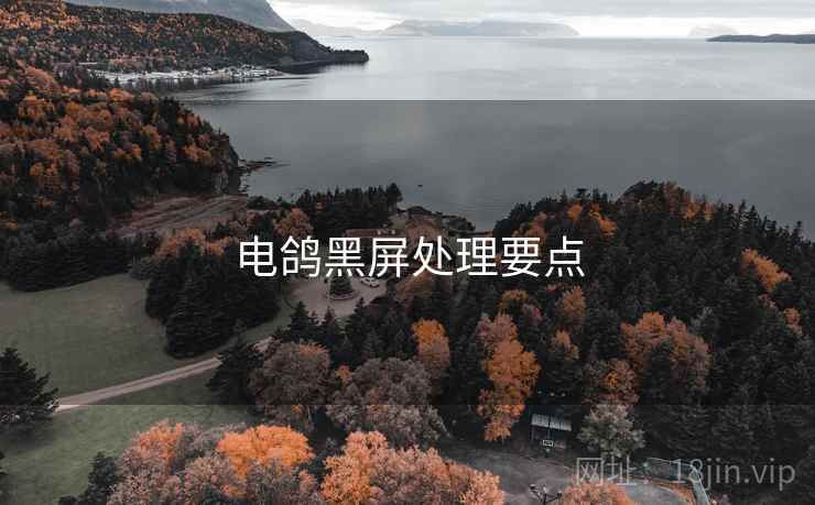电鸽黑屏处理要点