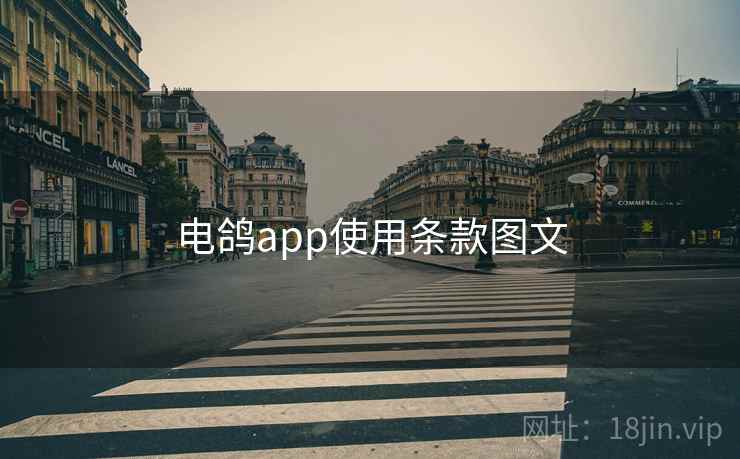 电鸽app使用条款图文