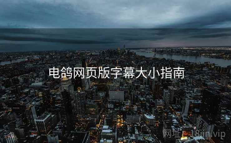 电鸽网页版字幕大小指南
