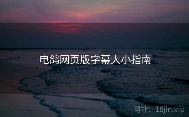 电鸽网页版字幕大小指南