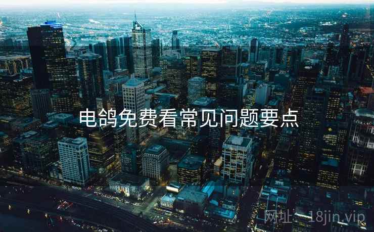 电鸽免费看常见问题要点