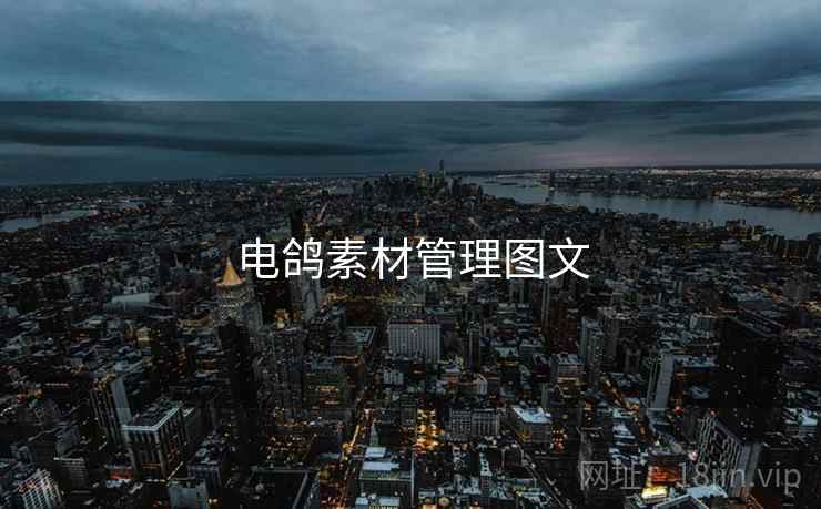 电鸽素材管理图文