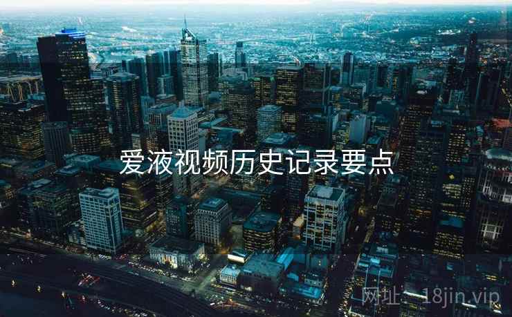 爱液视频历史记录要点