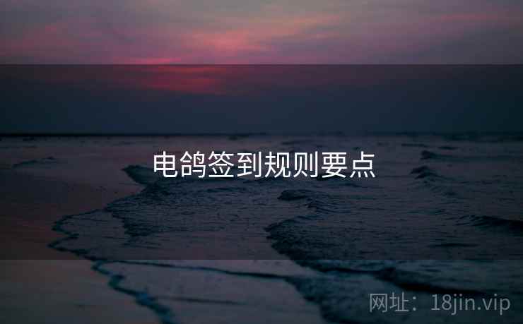 电鸽签到规则要点
