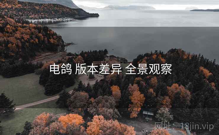 电鸽 版本差异 全景观察