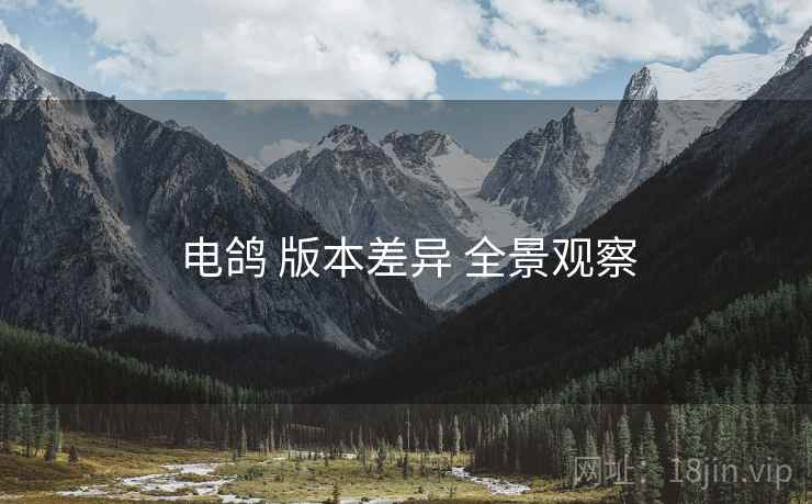 电鸽 版本差异 全景观察