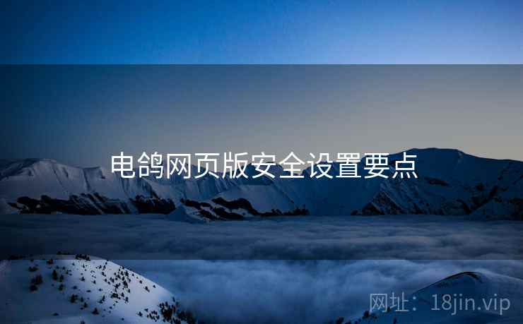 电鸽网页版安全设置要点